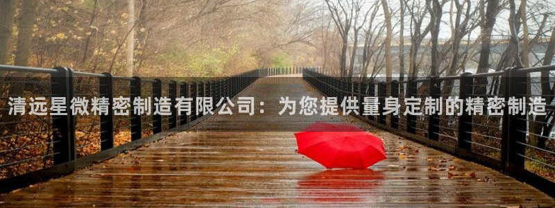 彩神v下载安装：清远星微精密制造有限公司：为您提供量身定制的精密制造