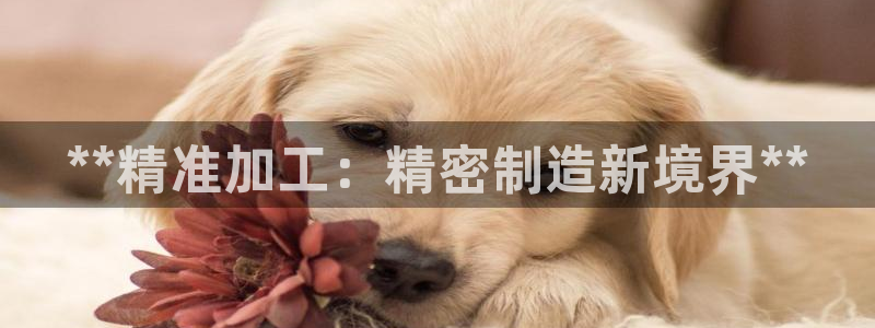 彩神v8是真的挣钱吗知乎：**精准加工：精密制造新境界**