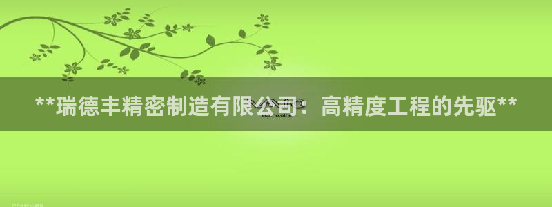 彩神 好 平台：**瑞德丰精密制造有限公司：高精度工程的先驱**