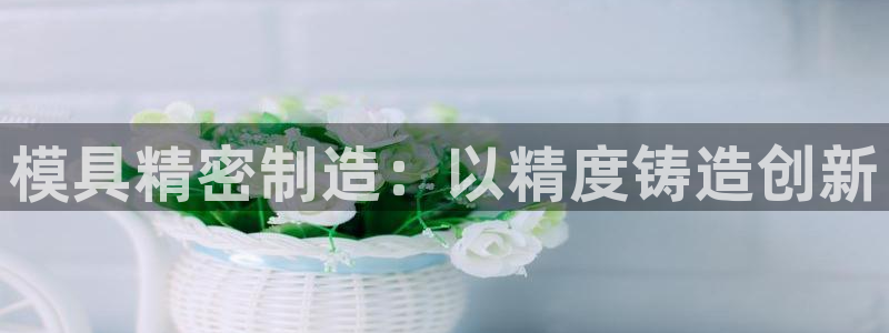 彩神可以提现吗：模具精密制造：以精度铸造创新