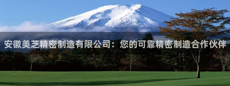 彩神vll购彩大厅：安徽美芝精密制造有限公司：您的可靠精密制造合作伙伴