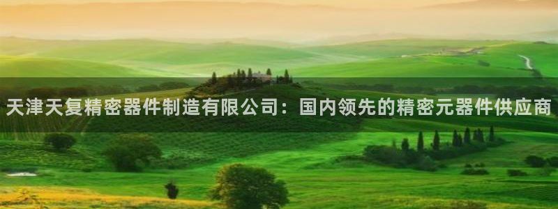 大发彩神官网下载：天津天复精密器件制造有限公司：国内领先的精密元器件供应商