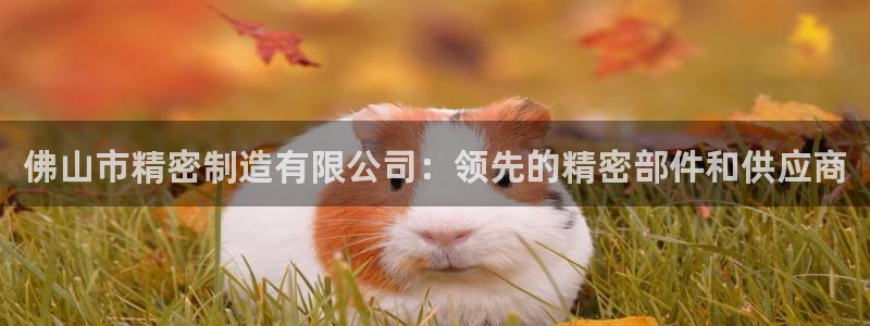 彩神平台注册登录：佛山市精密制造有限公司：领先的精密部件和供应商