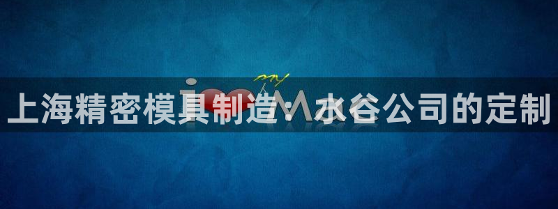 彩神天下专家专栏：上海精密模具制造：水谷公司的定制