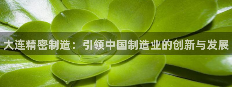 彩神v8手机客户端下载：大连精密制造：引领中国制造业的创新与发展