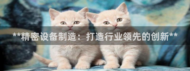 彩神iv能赚钱吗：**精密设备制造：打造行业领先的创新**