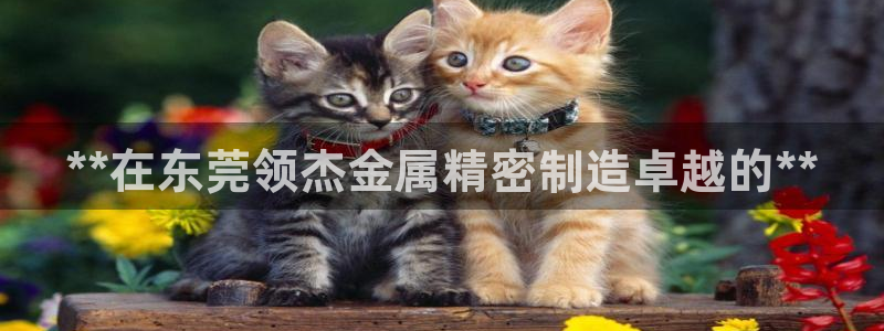 彩神争霸老平台：**在东莞领杰金属精密制造卓越的**