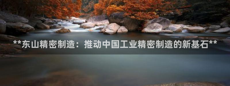 彩神vll购彩大厅大众：**东山精密制造：推动中国工业精密制造的新基石**