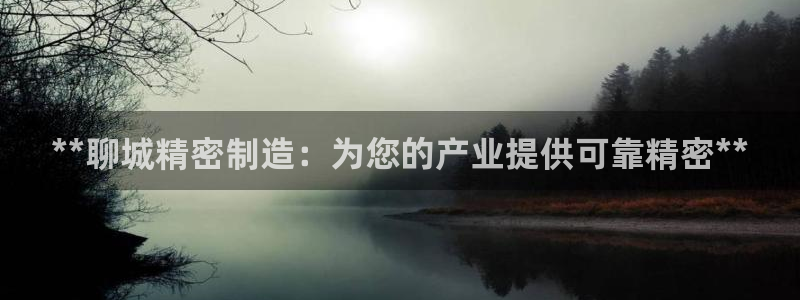 彩神v8手机客户端怎么下载：**聊城精密制造：为您的产业提供可靠精密**