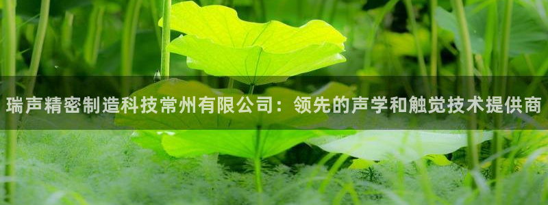彩神ⅴll是什么样平台：瑞声精密制造科技常州有限公司：领先的声学和触觉技术提供商