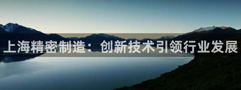 彩神购彩-购彩大厅入口36fr：上海精密制造：创新技术引领行业发展
