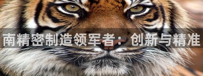 所有彩神购买首页中心：南精密制造领军者：创新与精准