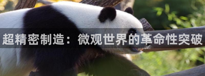 彩神v8是一个什么平台啊：超精密制造：微观世界的革命性突破