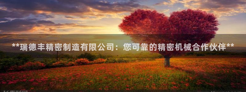 彩神vll首页企业文化：**瑞德丰精密制造有限公司：您可靠的精密机械合作伙伴**