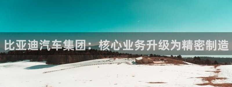 彩神官方登录：比亚迪汽车集团：核心业务升级为精密制造
