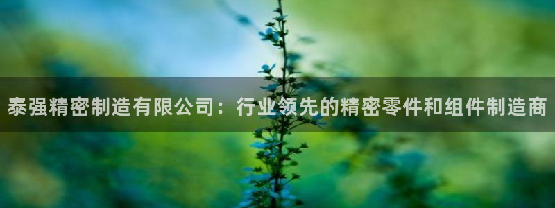 彩神vll购彩大厅：泰强精密制造有限公司：行业领先的精密零件和组件制造商