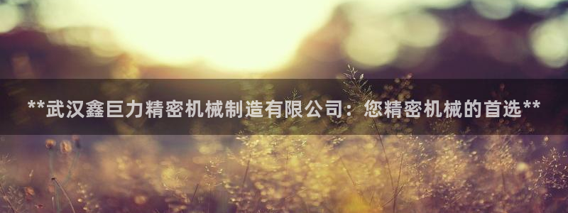 彩神争霸官方登录：**武汉鑫巨力精密机械制造有限公司：您精密机械的首选**