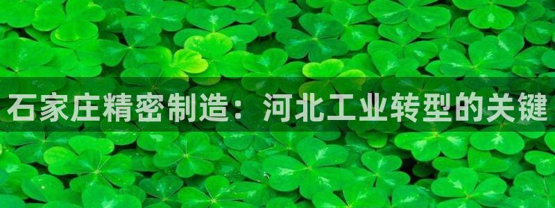 天天彩神welcome：石家庄精密制造：河北工业转型的关键
