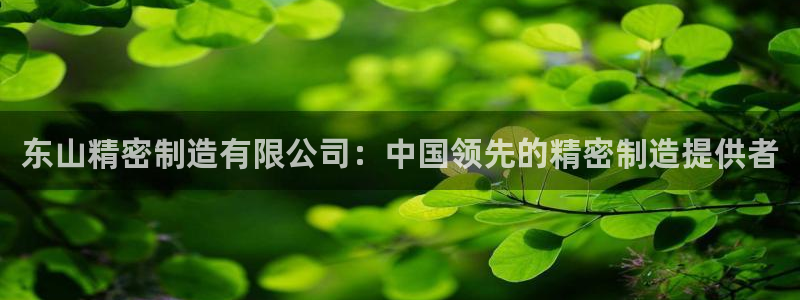 彩神v8是真的挣钱吗安全吗：东山精密制造有限公司：中国领先的精密制造提供者