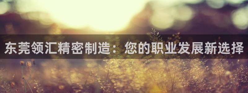 彩神8彩平台官网：东莞领汇精密制造：您的职业发展新选择