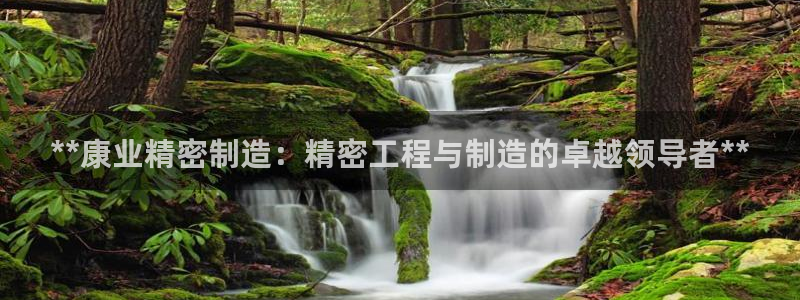 彩神购彩-购彩大厅入口计划群：**康业精密制造：精密工程与制造的卓越领导者**