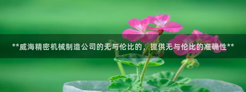彩神V集团有限公司：**威海精密机械制造公司的无与伦比的，提供无与伦比的准确性**