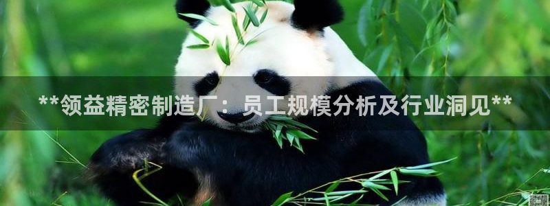 彩神v平台：**领益精密制造厂：员工规模分析及行业洞见**