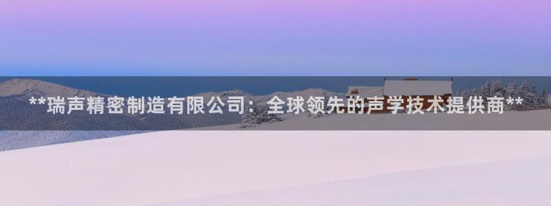 彩神vll趣投彩：**瑞声精密制造有限公司：全球领先的声学技术提供商**