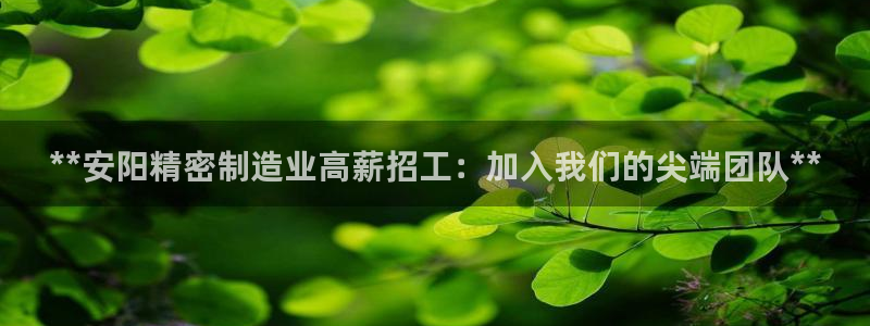 彩神viii下载安卓：**安阳精密制造业高薪招工：加入我们的尖端团队**