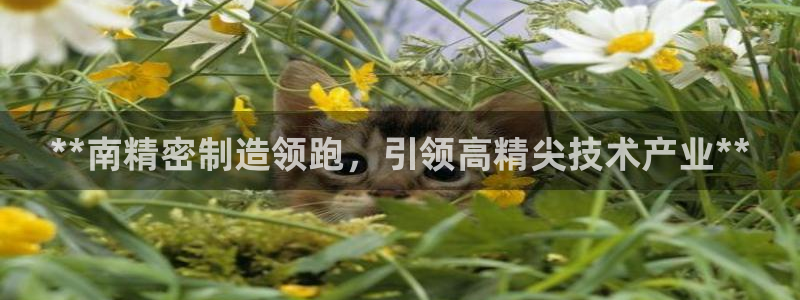 彩神通官网下载：**南精密制造领跑，引领高精尖技术产业**
