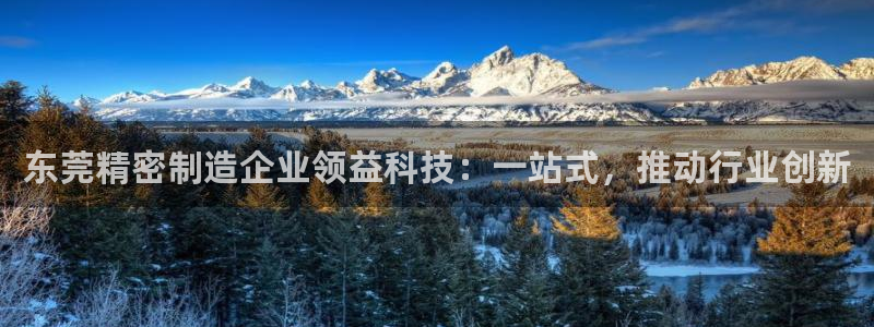 彩神v下载安装：东莞精密制造企业领益科技：一站式，推动行业创新