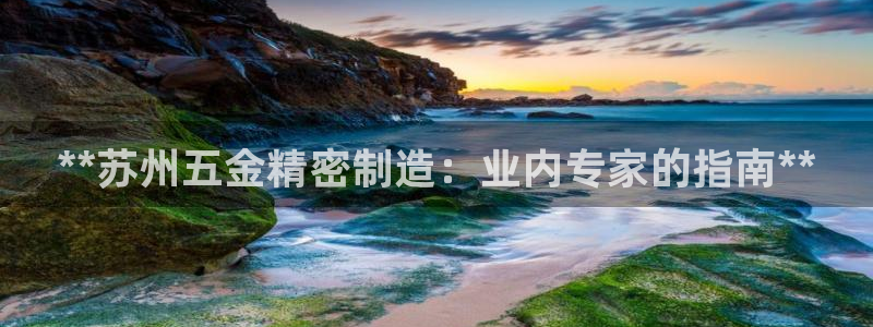 彩神大发官网：**苏州五金精密制造：业内专家的指南**