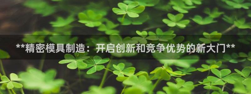 彩神系列平台：**精密模具制造：开启创新和竞争优势的新大门**