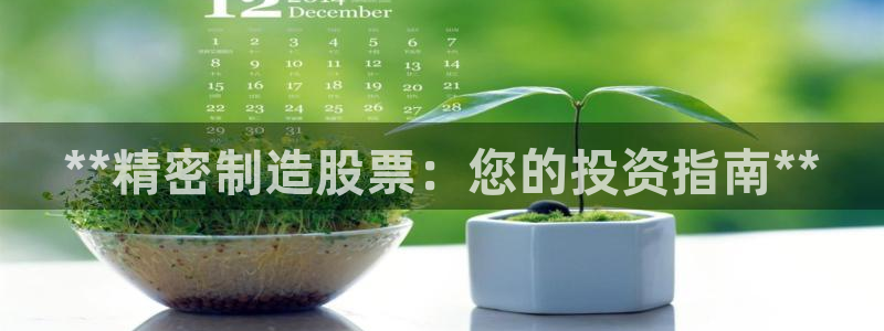 彩神v下载安装：**精密制造股票：您的投资指南**