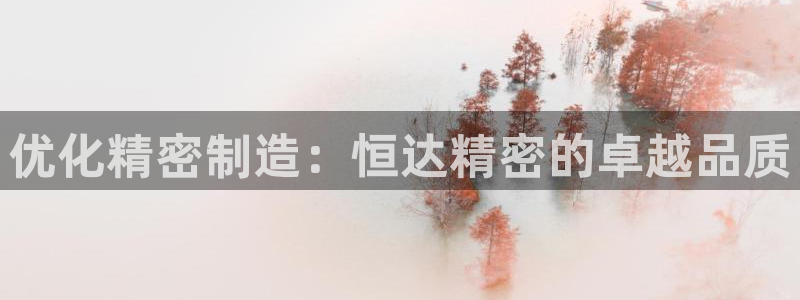 彩神vl官网：优化精密制造：恒达精密的卓越品质