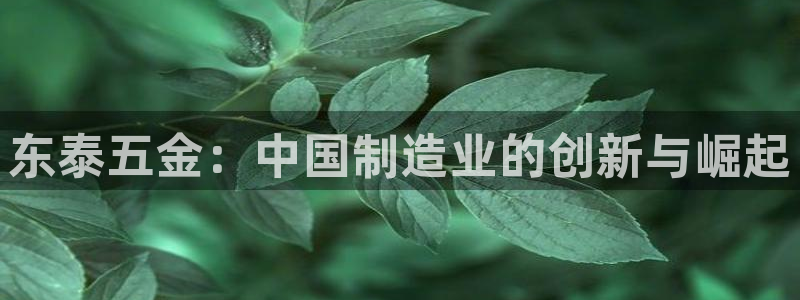 彩神x平台靠什么盈利：东泰五金：中国制造业的创新与崛起