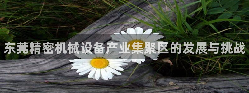 大发彩神官网下载