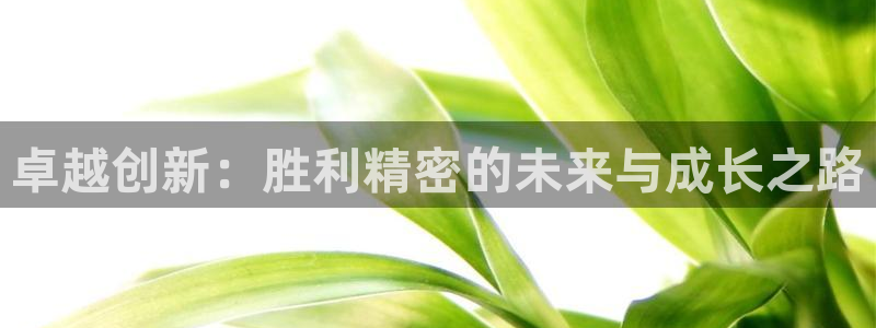 彩神vll购彩大厅大众：卓越创新：胜利精密的未来与成长之路