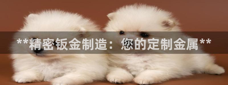 彩神vi官网版：**精密钣金制造：您的定制金属**