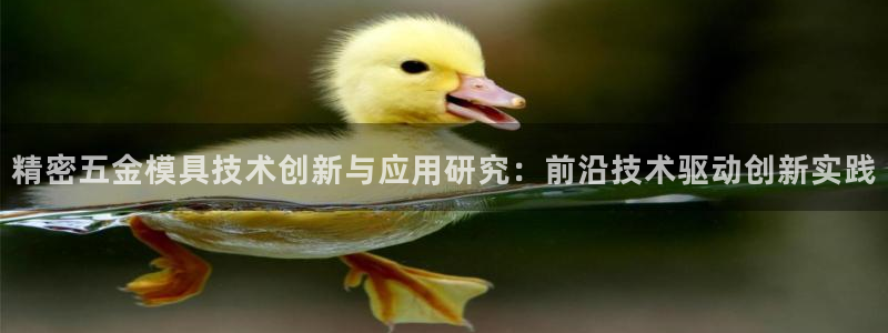 彩神ix官网：精密五金模具技术创新与应用研究：前沿技术驱动创新实践