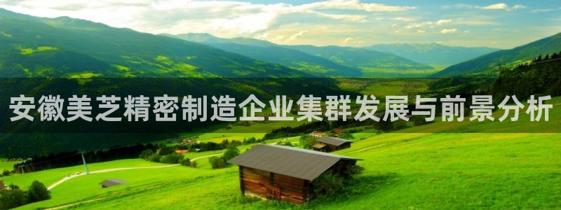 彩神官方登录