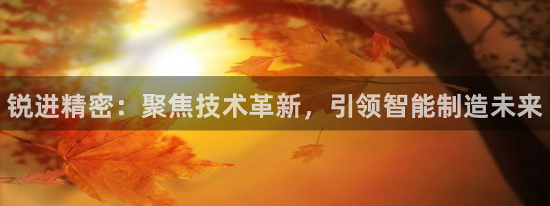 彩神vl官网：锐进精密：聚焦技术革新，引领智能制造未来