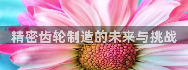 彩神合法吗.是国家认可的吗：精密齿轮制造的未来与挑战