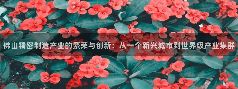 彩神赢了钱登录不上去：佛山精密制造产业的繁荣与创新：从一个新兴城市到世界级产业集群