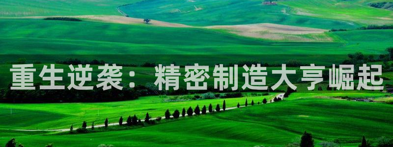 下载彩神争霸谁与我争锋：重生逆袭：精密制造大亨崛起