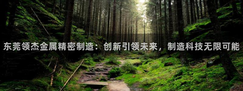 彩神8是正规平台吗安全吗：东莞领杰金属精密制造：创新引领未来，制造科技无限可能