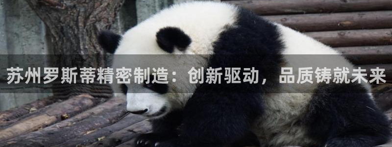 彩神通官方网：苏州罗斯蒂精密制造：创新驱动，品质铸就未来