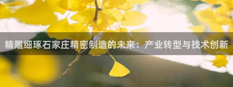 彩神系列平台：精雕细琢石家庄精密制造的未来：产业转型与技术创新