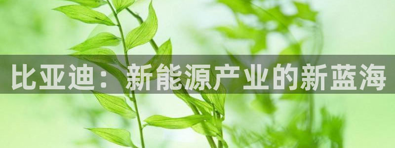 彩神x平台靠什么盈利：比亚迪：新能源产业的新蓝海