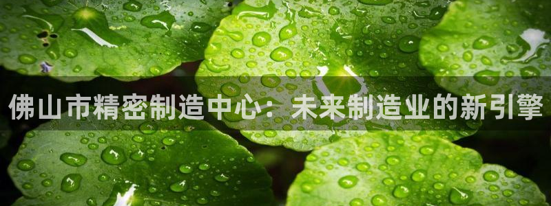 彩神V集团公司：佛山市精密制造中心：未来制造业的新引擎